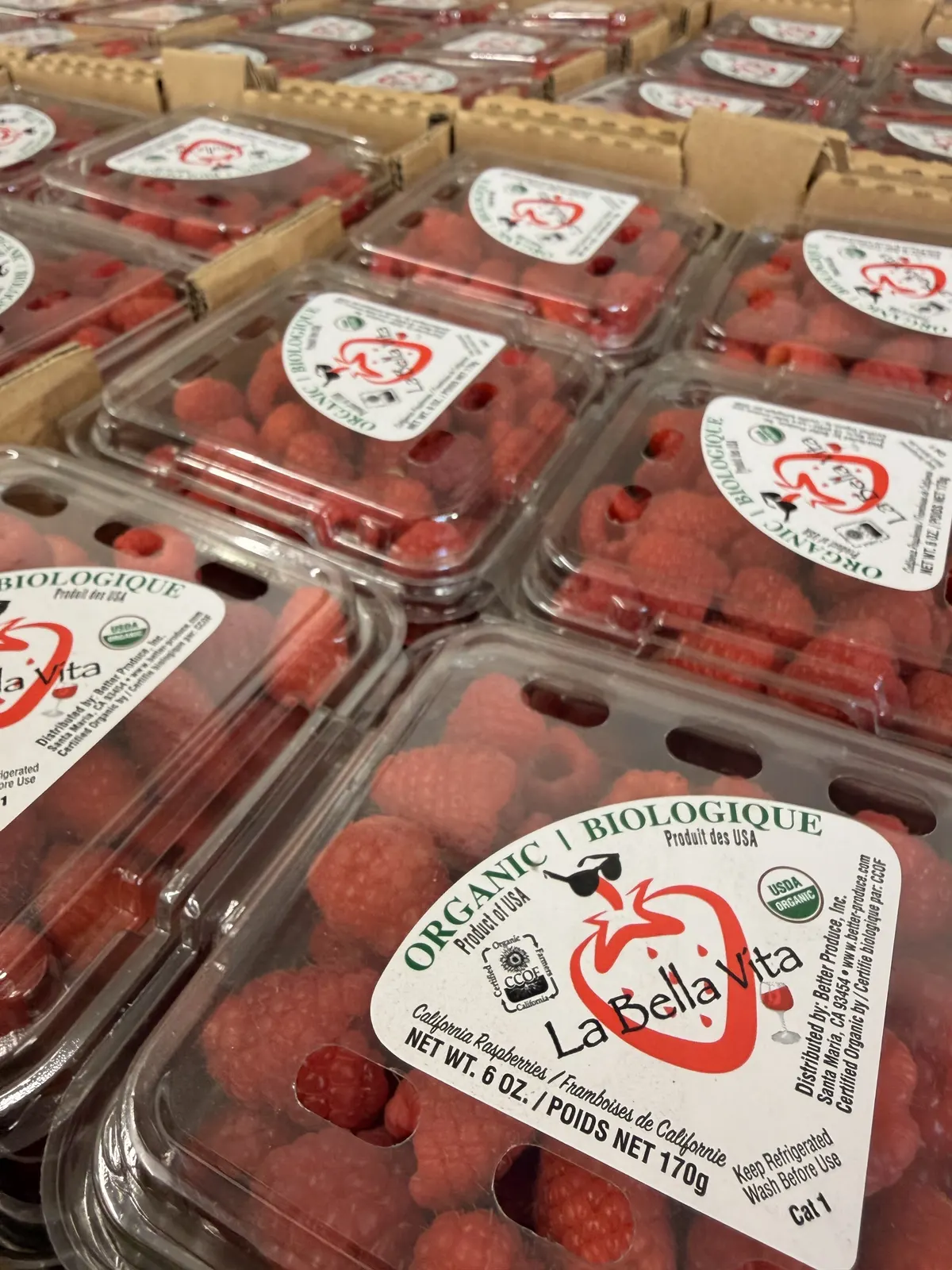Rows of clamshells of organic raspberries packed in open cardboard flats