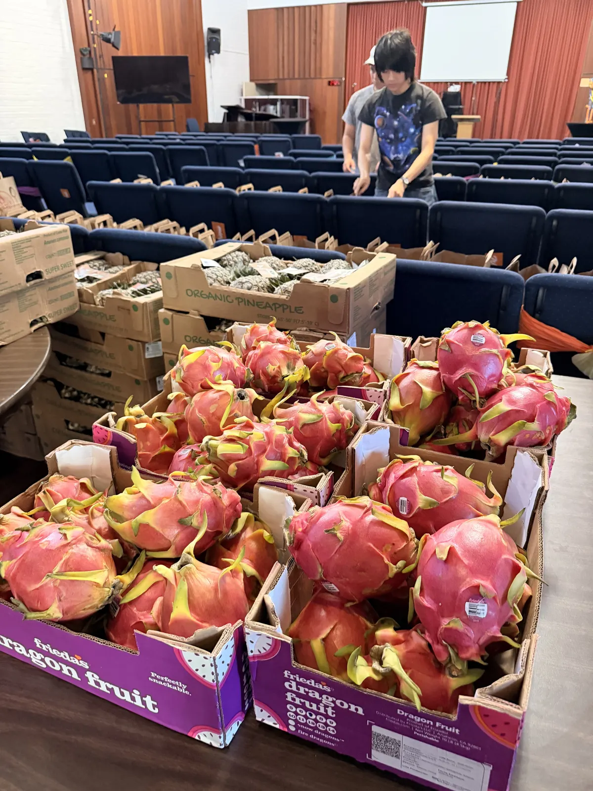 Open boxes heaped with bright pink dragon fruit inside the hall