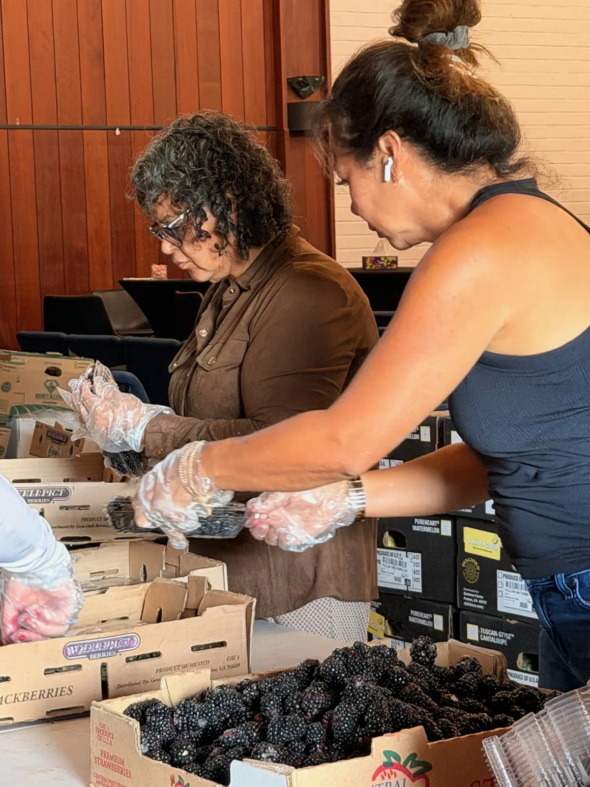 Volunteers in gloves sorting blackberries into clamshells at a table on Friday night