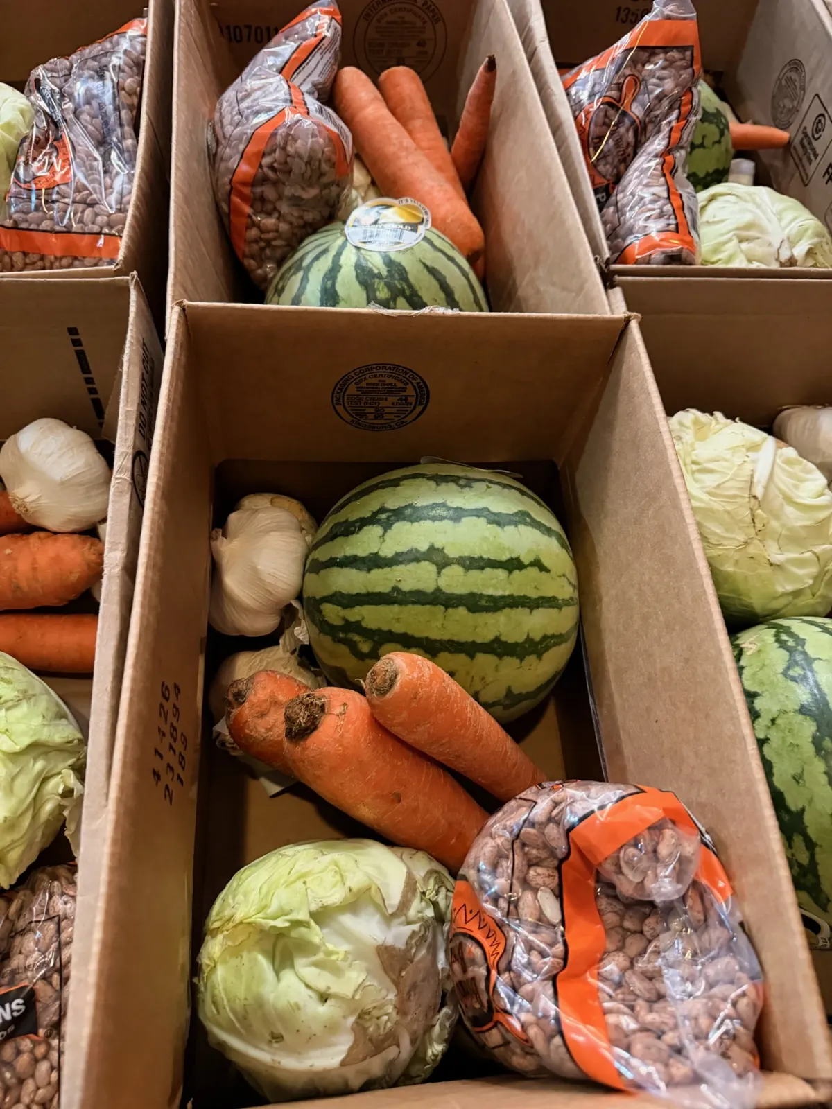 Open boxes packed with watermelons, cabbages, carrots, garlic and bags of pinto beans